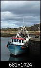 N929 ELLEN-M Ardglass Harbour 27-03-2010-n929-ellen-m-ardglass-harbour-27-03-2010.jpg