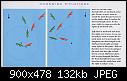 -dk_ch2k_sailing_basics_sheet_06.jpg