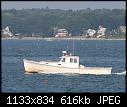 Graceful Lady-img_0049.jpg