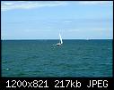 Click image for larger version

Name:	SailboatOffBlockIslandAug2010.jpg
Views:	73
Size:	216.9 KB
ID:	12716