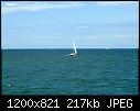 Sailboat off Block Island RI-sailboatoffblockislandaug2010.jpg