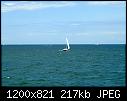 -sailboatoffblockislandaug2010.jpg