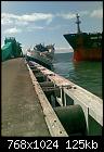 Port Lincoln Incident 2-port-lincoln-incident2.jpg