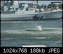 NL: Den Helder [254/403] - RtW_Vlootdagen_2006_254.jpg (1/1), 188 KB.-rtw_vlootdagen_2006_254.jpg