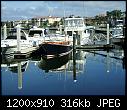 Wood Cruiser- Marco Island FL b-cruiser_marcoislandfl11-17-2011b.jpg