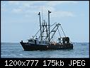 Hopefull- Narragansett RI-hopefull_narragansettri_7-30-2011c.jpg
