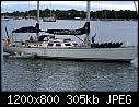 Wild Tigris- Newport RI-wildtigris_newportri_8-16-2011.jpg