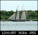 -lynx_newportri_7-9-2012b.jpg