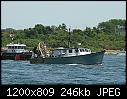 Tiger Jo- Newport RI-tigerjo_newportri_7-9-2012.jpg