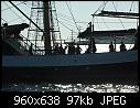 Tall Ships Lisbon 2012 - File 063 of 102 - 482126_324611390964323_1341678727_n.jpg (1/1) - 97 KB-482126_324611390964323_1341678727_n.jpg