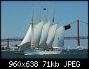 Tall Ships Lisbon 2012 - File 073 of 102 - 529046_327405040684958_1187203185_n.jpg (1/1) - 71 KB-529046_327405040684958_1187203185_n.jpg