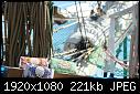 Tall Ships Lisbon 2012 - File 102 of 102 - 616636_324637977628032_1765260992_o.jpg (1/1) - 221 KB-616636_324637977628032_1765260992_o.jpg