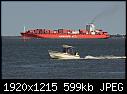 Ship - CAP JERVIS  9-12.jpg-ship-cap-jervis-9-12.jpg