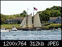 Click image for larger version

Name:	TreeOfLifeNarragansettBayRIb.jpg
Views:	47
Size:	312.2 KB
ID:	16187