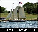 Click image for larger version

Name:	TreeOfLifeNarragansettBayRIc.jpg
Views:	37
Size:	325.1 KB
ID:	16188