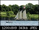 Click image for larger version

Name:	TreeOfLifeNarragansettBayRIa.jpg
Views:	40
Size:	342.7 KB
ID:	16191