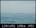 Click image for larger version

Name:	skutsjes fleet-3.jpg
Views:	55
Size:	184.5 KB
ID:	16321