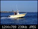 Sailfish- Narragansett RI 7-21-2014 b-sailfishnarragansettri_7-21-2014b.jpg