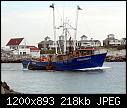 Timberwolf- Narragansett RI 8-17-2014 a-timberwolfnarragansettri_8-17-2014a.jpg