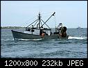 Tiger Jo- Narragansett RI 9-11-2014 b-tigerjonarragansettri_9-11-2014b.jpg