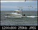 Reaction- Narragansett RI 7-20-2014 leftover-reactionnarragansettt-ri_7-20-2014c.jpg