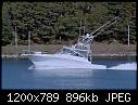 US - Tuna Daze-tuna_daze.jpg