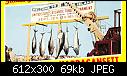 US - Tuna Daze-20th-ri-tuna-tournament-.jpg