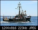 Broadbill- Narragansett RI 7-25-2015 b-broadbillnarragansettri_7-25-2015b.jpg