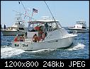 Bill Fish- Narragansett RI 7-25-2015-billfishnarragansettri_7-25-2015.jpg