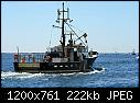 Broadbill- Narragansett RI July 2015 (leftover)-broadbillnarragansettri_july2015c.jpg