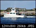 Snappa -Narragansett RI 8-2014 (leftover)-snappa_6-2014.jpg