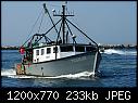 Tiger Jo- Galilee RI 7-30-2016 b-tigerjogalileeri_7-30-2016b.jpg