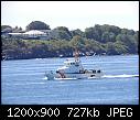 Click image for larger version

Name:	Tiger_Shark.jpg
Views:	64
Size:	726.9 KB
ID:	19728