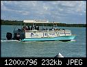Shell Cat- Marco Island FL 1-10-2017 b-shellcatmarcoislandfl_1-10-2017b.jpg
