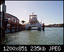 Annie's Bobcat- Marco Island FL 5-21-2017 a-anniesbobcatmarcoislandfl_5-21-2017a.jpg