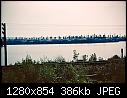 Click image for larger version

Name:	1960-09-New_England-2-Stony_Point,NY-Edit.jpg
Views:	25
Size:	386.3 KB
ID:	20411
