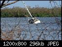 Click image for larger version

Name:	TabooGoodlandFL_9-25-2017a.jpg
Views:	199
Size:	295.5 KB
ID:	20449