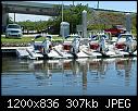 Water Scooters- Goodland FL 8-12-2017-waterscootersgoodlandfl_8-12-2017.jpg