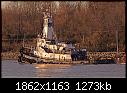 Tug - INDIAN DAWN  11-17 e.jpg-tug-indian-dawn-11-17-e.jpg