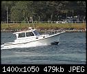 US - white power boat 2018-10-10-white_power_boat_20181010.jpg