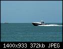 Flight Risk- Marco Island FL 5-2-2020-flightriskmarcoislandfl_5-2-2020.jpg