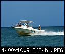 Aqua Cat- Naples FL 5-30-2020-aquacatnaplesfl_5-30-2020.jpg