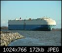 Marvellous Ace-marvelous-ace-richmond-bc-2007_1224.jpg