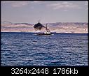 Click image for larger version

Name:	aquebar 26-1-08 tug safi - clag - what clag 02.jpg
Views:	85
Size:	1.74 MB
ID:	3879
