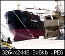 A taste of the port - - safaga 30-1-08 - mv bargara sharp end from dockside.jpg (1/1)-safaga-30-1-08-mv-bargara-sharp-end-dockside.jpg