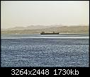 A taste of the port - - safaga 30-1-08 - unidentified vehicle transporter ship.jpg (1/1)-safaga-30-1-08-unidentified-vehicle-transporter-ship.jpg