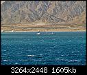 More Red Sea boats - - safaga 29-1-08 - sunken vessel 01.jpg (1/1)-safaga-29-1-08-sunken-vessel-01.jpg