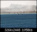 Click image for larger version

Name:	safaga 29-1-08 - sunken vessel 02.jpg
Views:	75
Size:	1.03 MB
ID:	4961