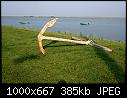 nj2353t &amp; nj2356t-3-nj2353t-nj2356t-3.jpg