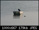 NJ2071AY-2-nj2071ay-2.jpg